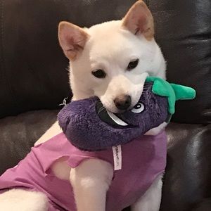 Meet your Posher, Senada